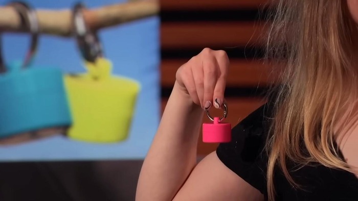 Key Factors Behind Lion Latch’s Success